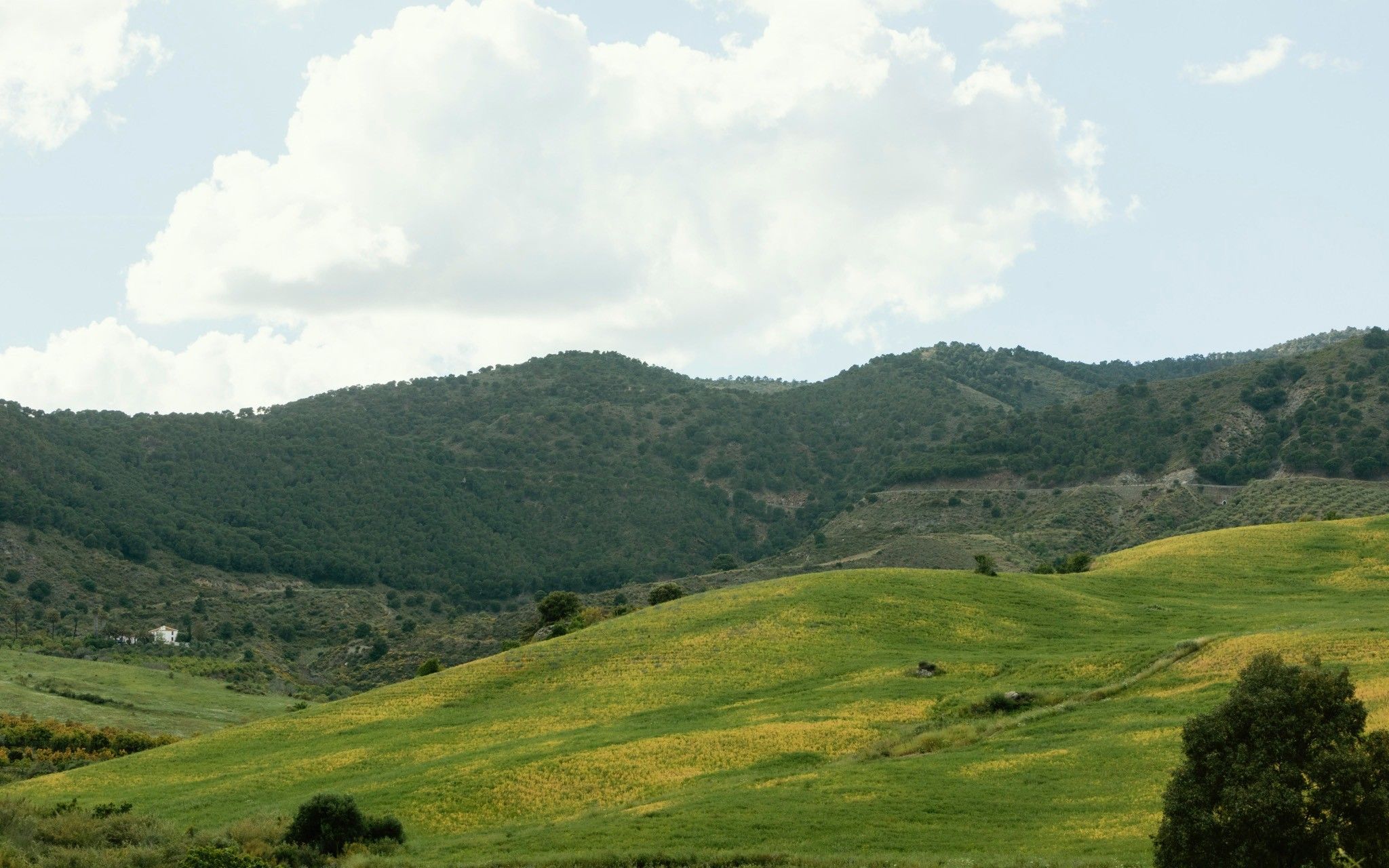 Albergo Etico Roccamonfina